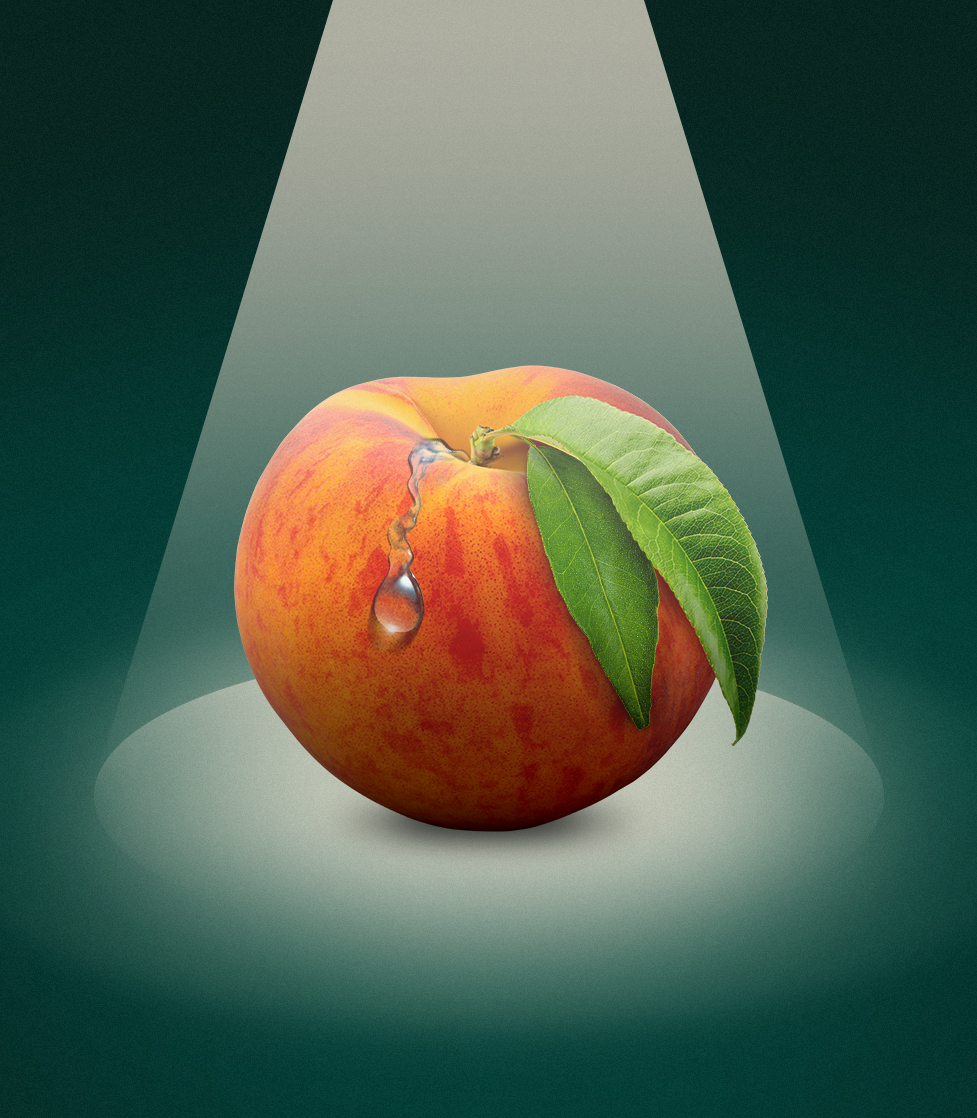 Sad Peach · Win Back